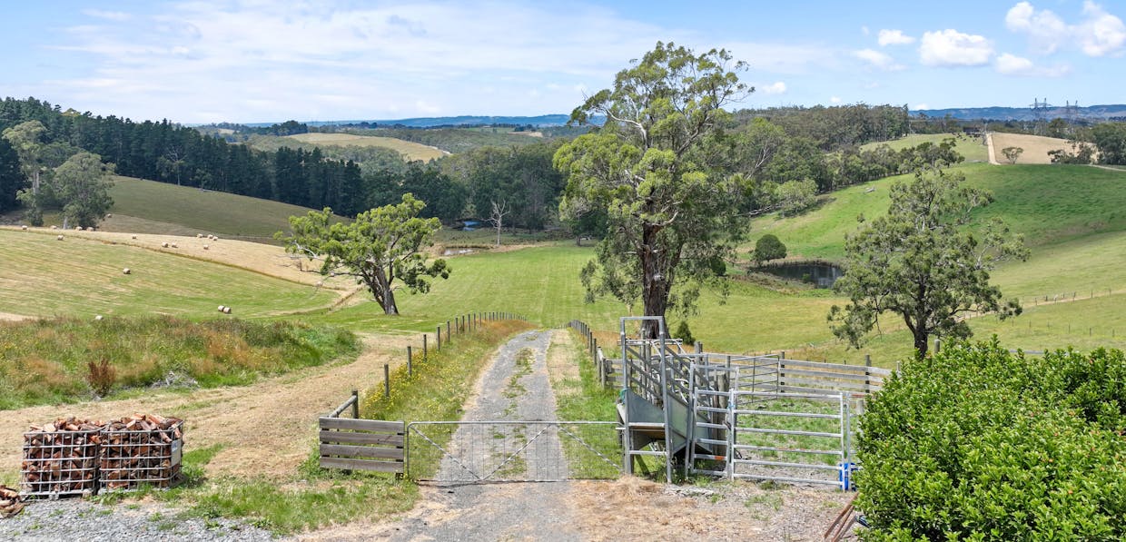 460 Old Telegraph Road, Crossover, VIC, 3821 - Image 6