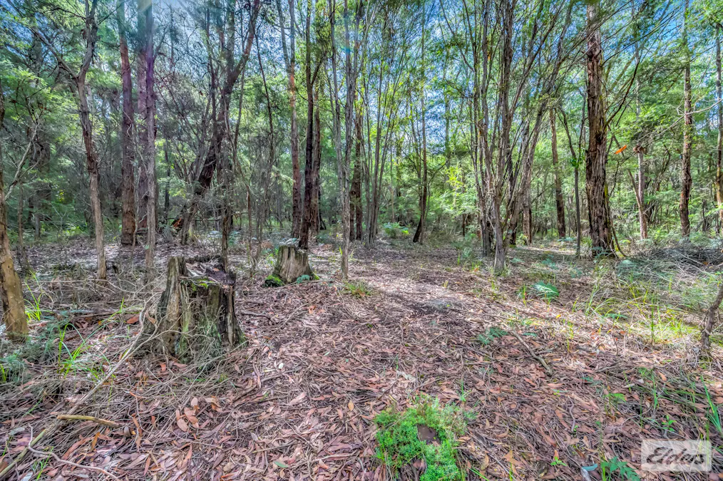 370 Becks Bridge Road, Tanjil South, VIC, 3825 - Image 28