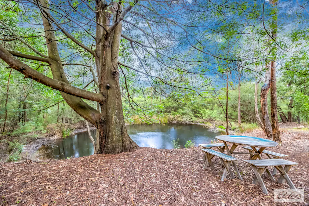 370 Becks Bridge Road, Tanjil South, VIC, 3825 - Image 25