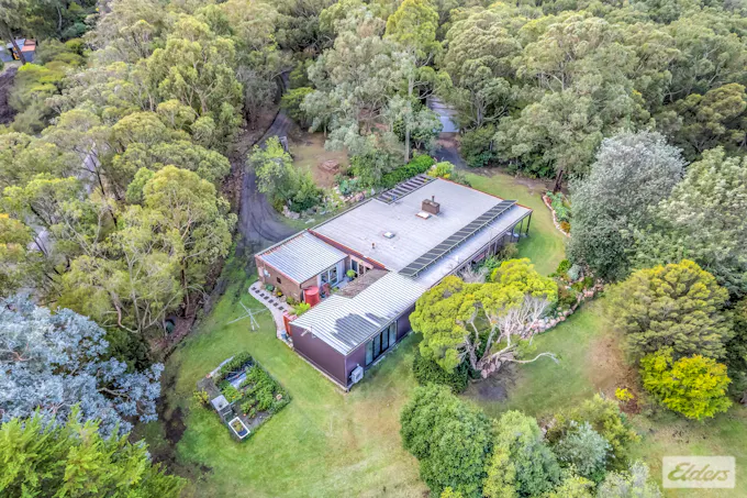 370 Becks Bridge Road, Tanjil South, VIC, 3825 - Image 1