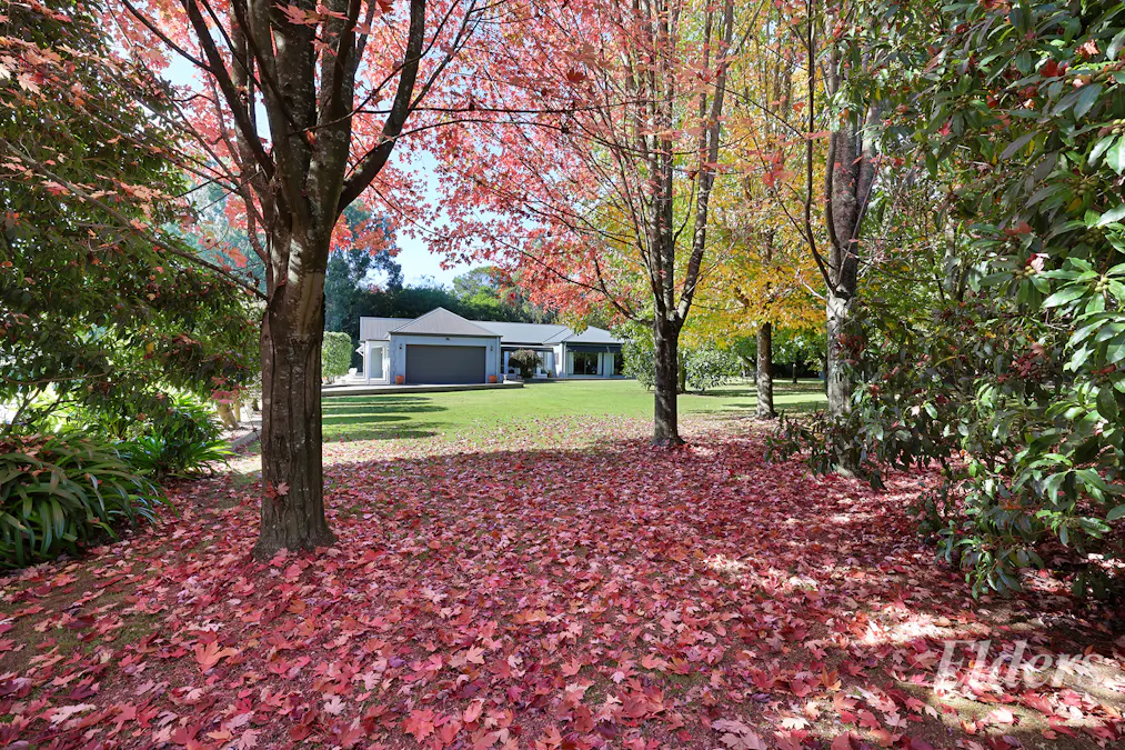 1153 Jacksons Track, Jindivick, VIC, 3818 - Image 32