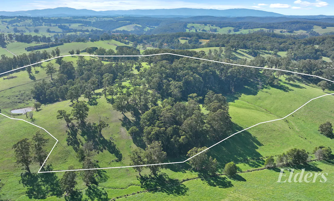 275 Le Page Road, Neerim South, VIC, 3831 - Image 3