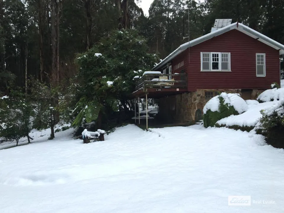 10 Tramline Road — photo 19 of 23