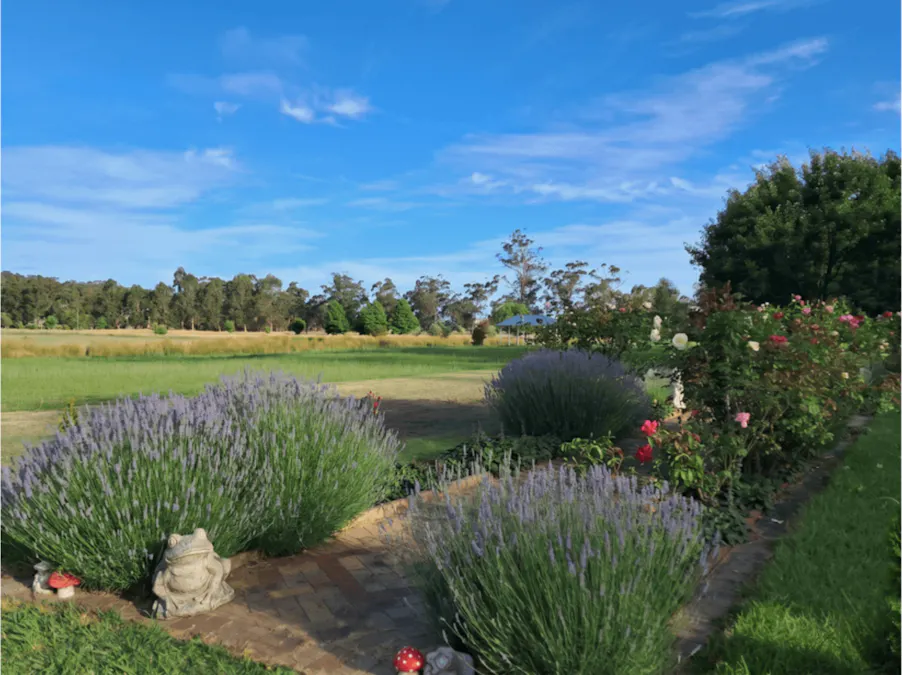 29 Adam View Court, Tanjil South, VIC, 3825 - Image 17