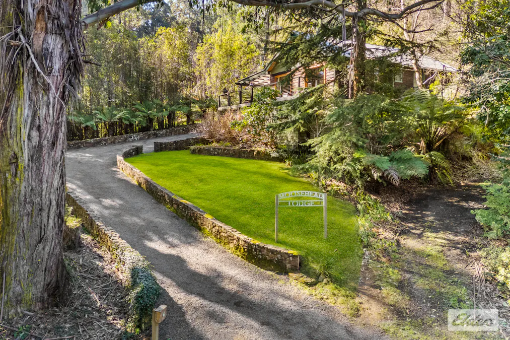 6 Tramline Road, Tanjil Bren, VIC, 3833 - Image 5