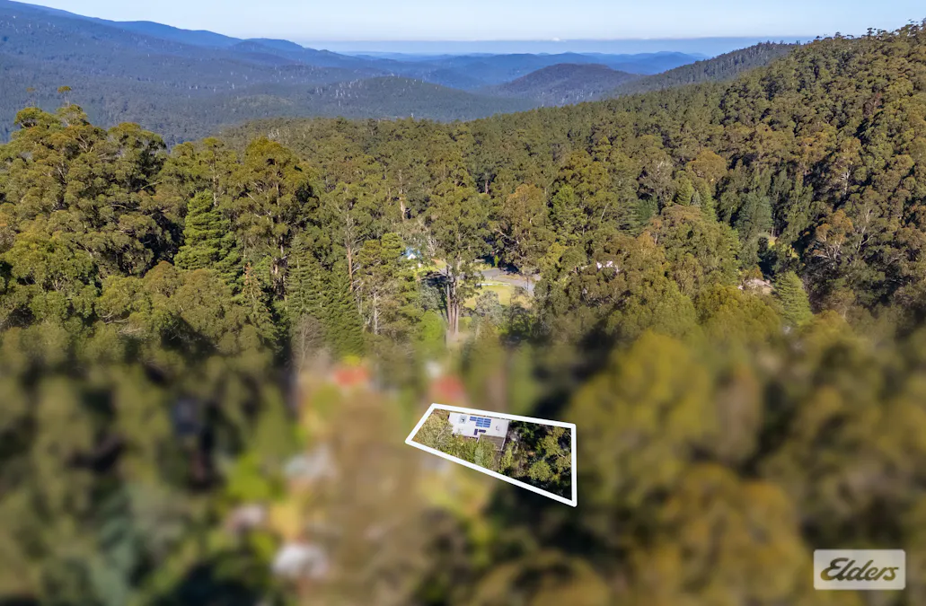 6 Tramline Road, Tanjil Bren, VIC, 3833 - Image 27
