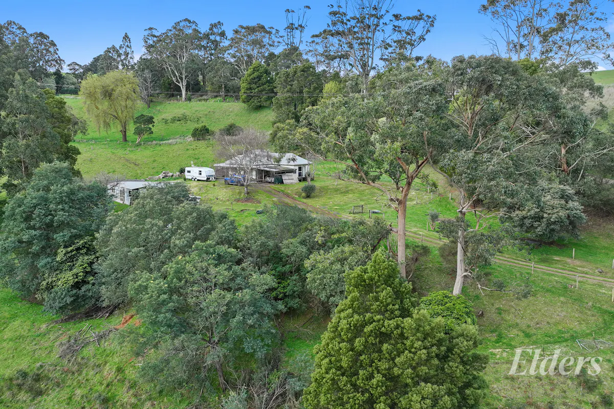 35 Schofields Road — photo 3 of 22