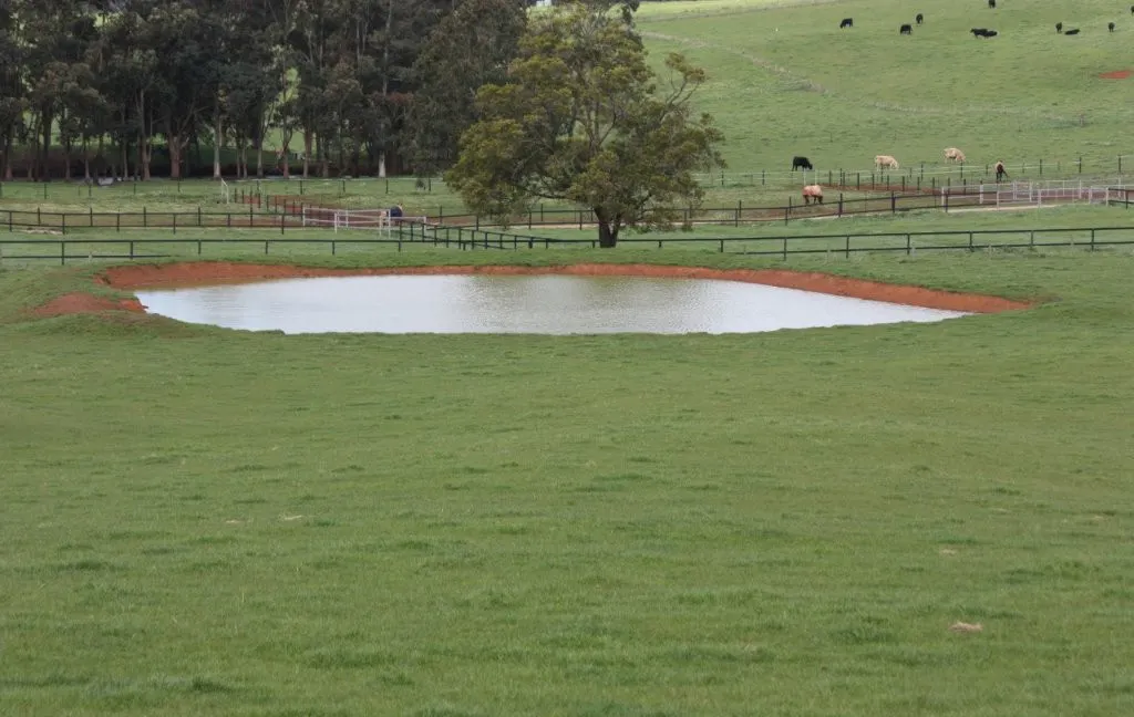 935 Lardners Track, Warragul, VIC, 3820 - Image 25