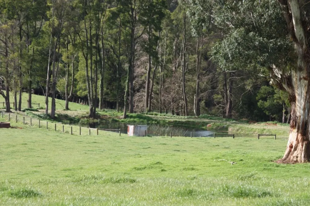 935 Lardners Track, Warragul, VIC, 3820 - Image 19