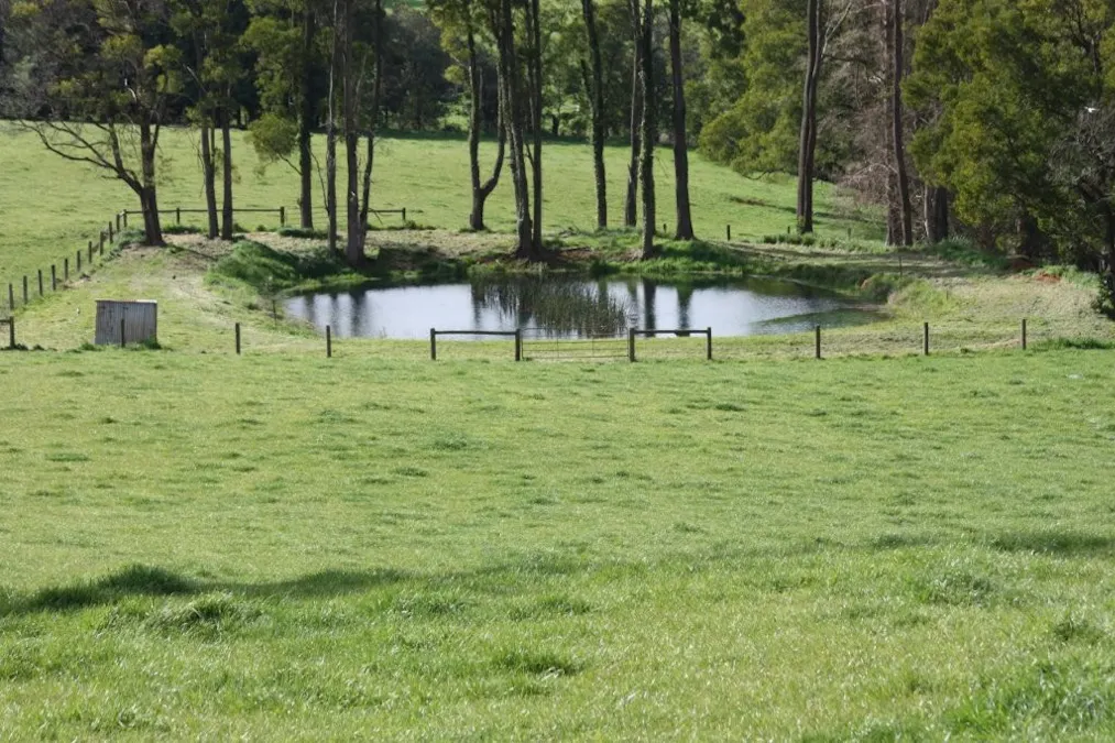 935 Lardners Track, Warragul, VIC, 3820 - Image 15