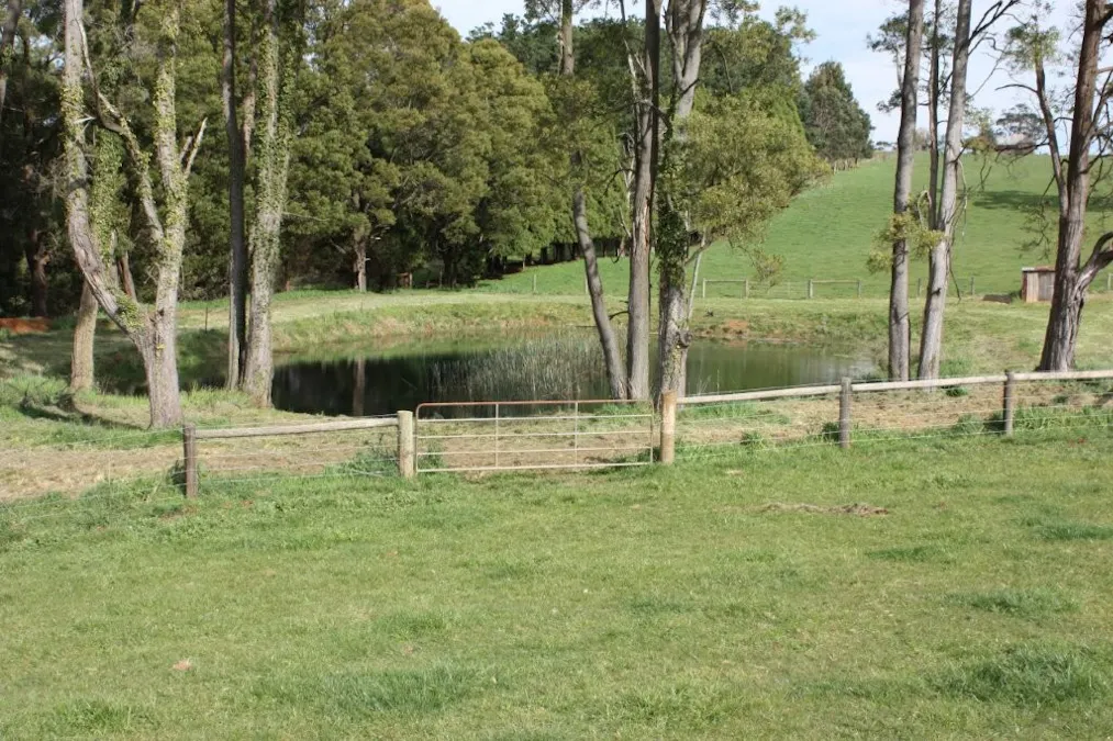 935 Lardners Track, Warragul, VIC, 3820 - Image 16