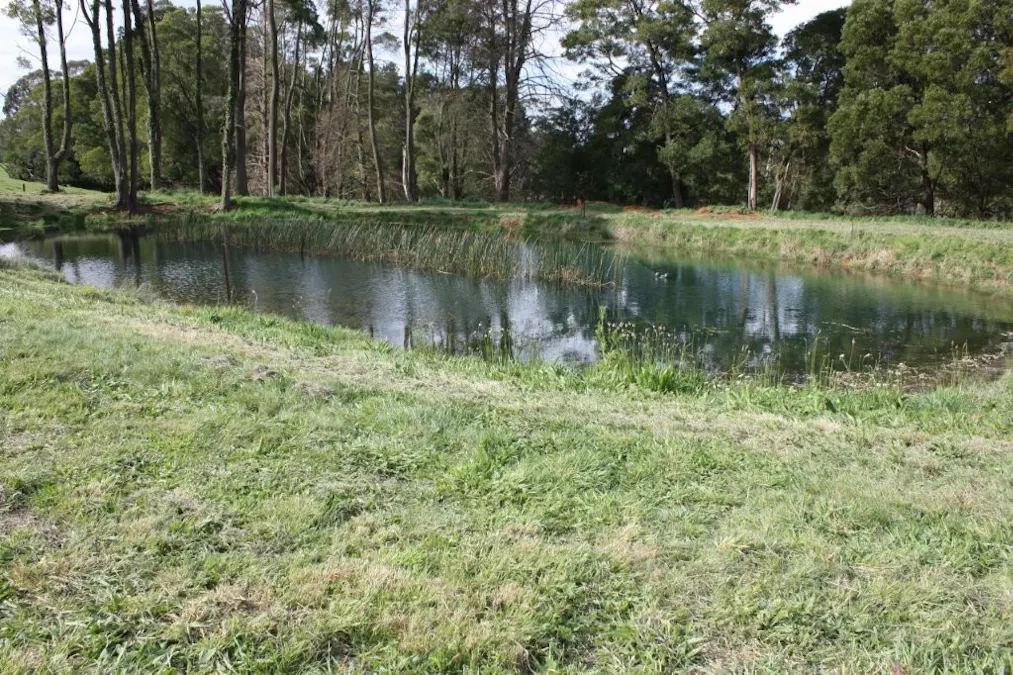 935 Lardners Track, Warragul, VIC, 3820 - Image 18