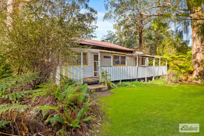 11 Mill Road, Tanjil Bren, VIC, 3833