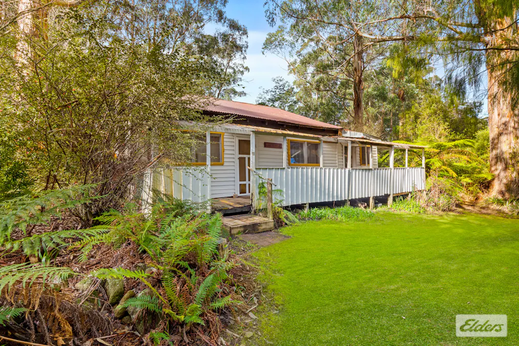 11 Mill Road, Tanjil Bren, VIC, 3833 - Image 1