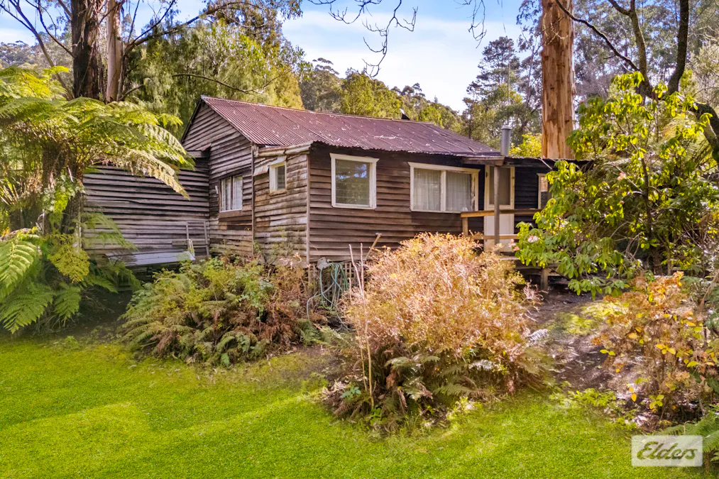 11 Mill Road, Tanjil Bren, VIC, 3833 - Image 2
