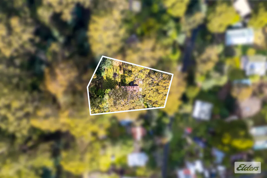 11 Mill Road, Tanjil Bren, VIC, 3833 - Image 20