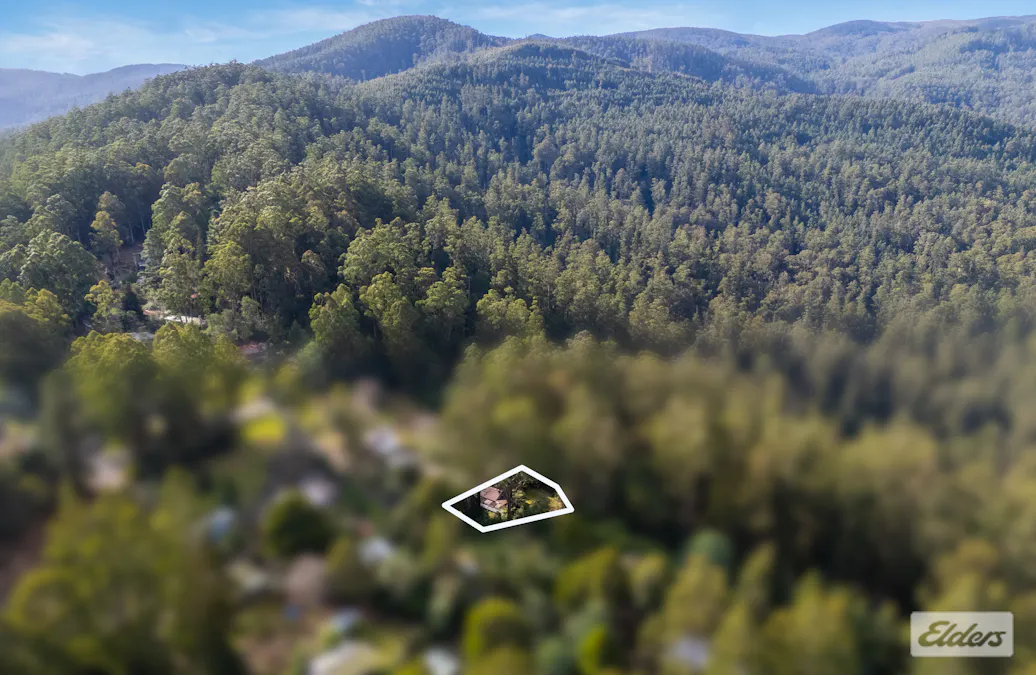 11 Mill Road, Tanjil Bren, VIC, 3833 - Image 21