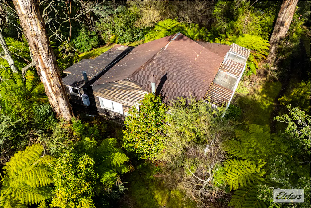 11 Mill Road, Tanjil Bren, VIC, 3833 - Image 12