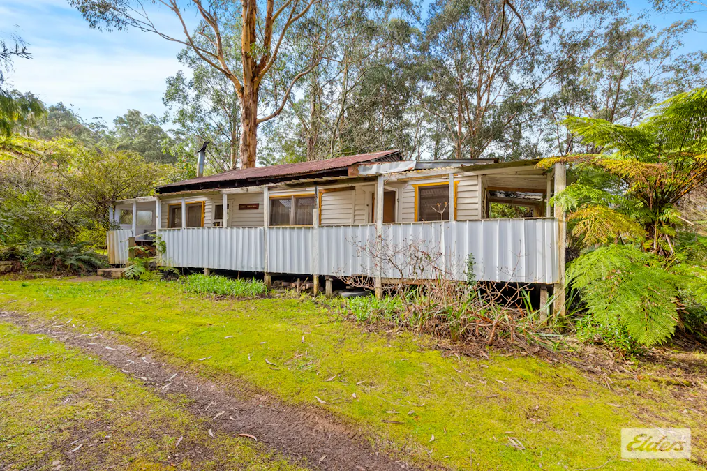 11 Mill Road, Tanjil Bren, VIC, 3833 - Image 14