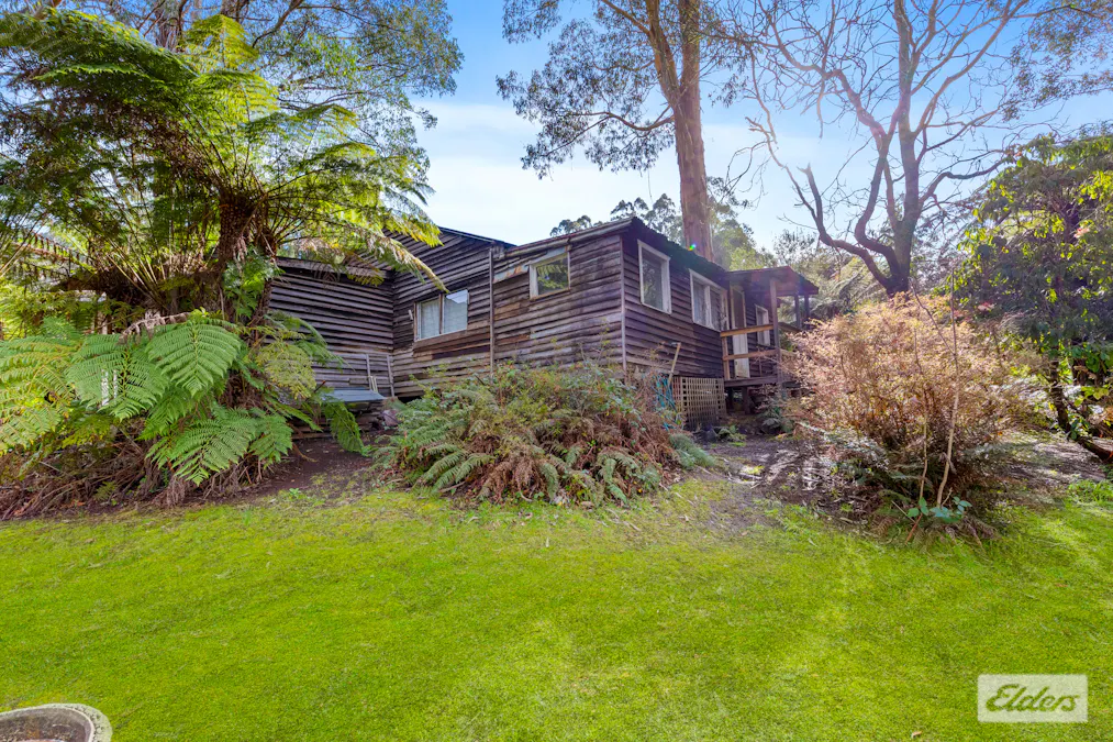 11 Mill Road, Tanjil Bren, VIC, 3833 - Image 15