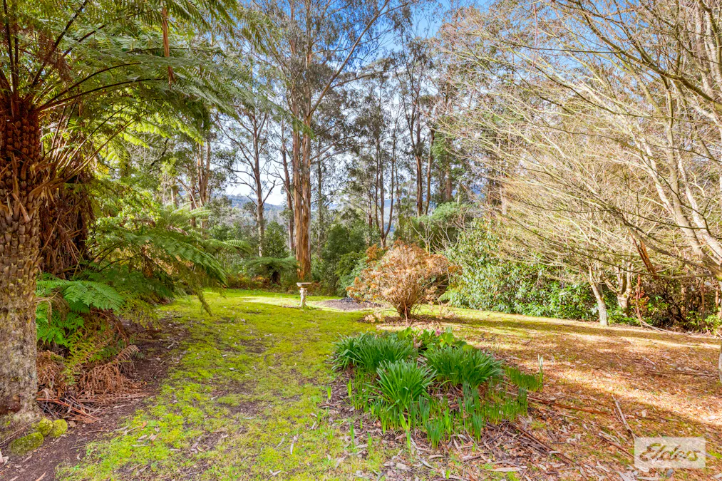 11 Mill Road, Tanjil Bren, VIC, 3833 - Image 18