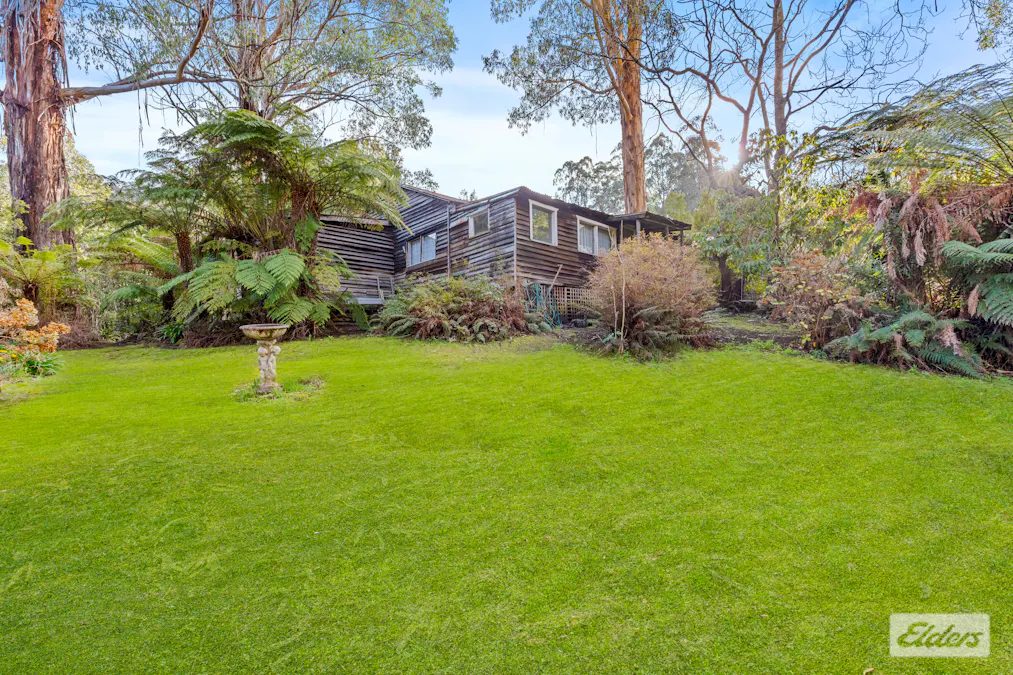 11 Mill Road, Tanjil Bren, VIC, 3833 - Image 19