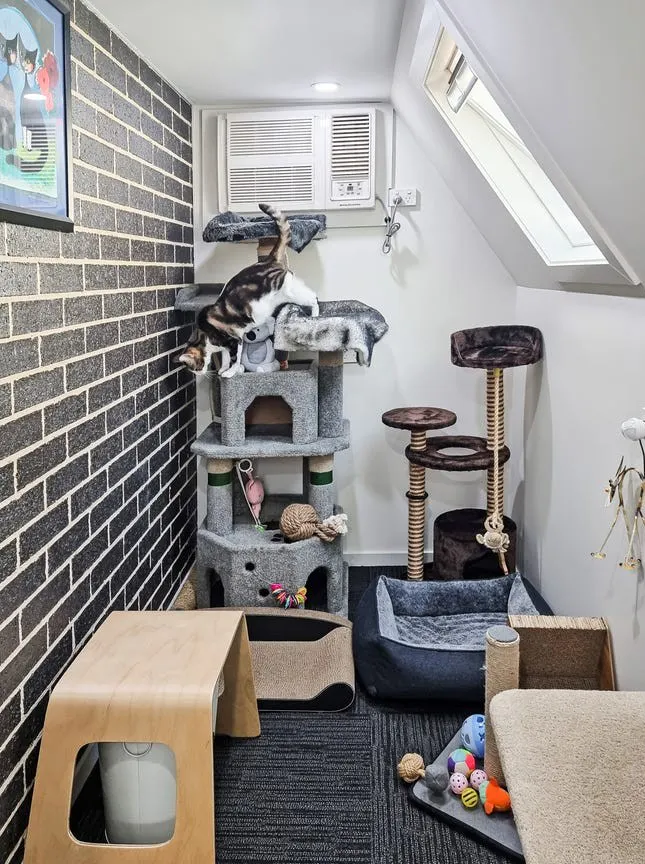 1 / 90 Bowen Street — photo 12 of 25
