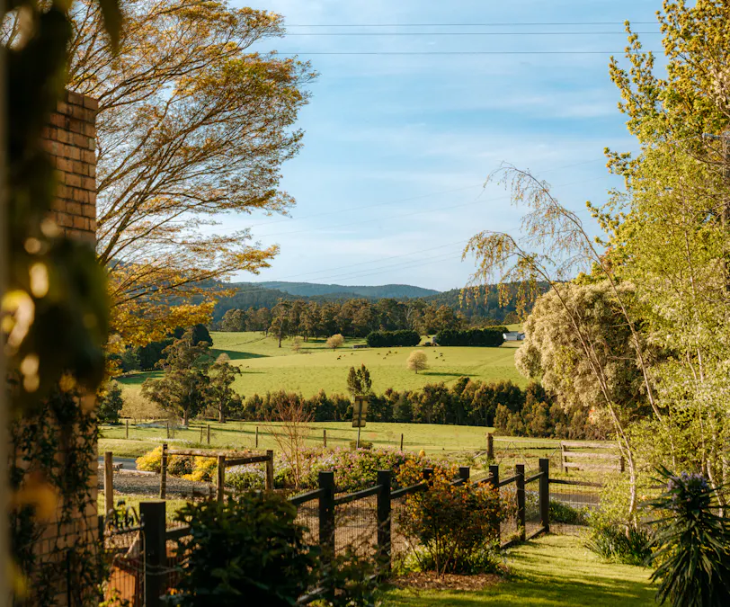 565 Main Jindivick Road, Jindivick, VIC, 3818 - Image 7