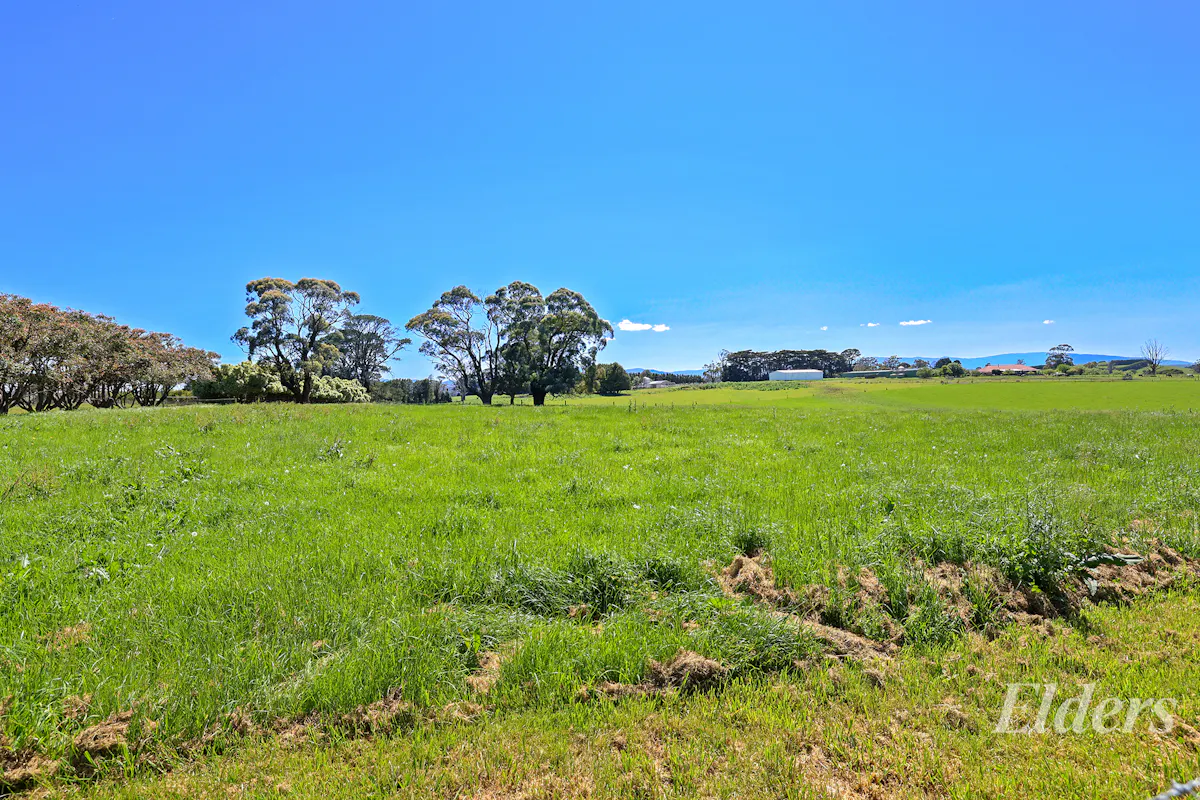 990 Neerim East Road — photo 13 of 28