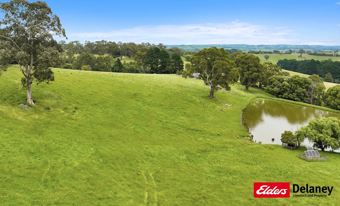 510 Torwood-Topiram Road, Tetoora Road, VIC, 3821 - Image 17