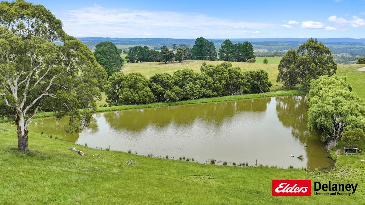 510 Torwood-Topiram Road, Tetoora Road, VIC, 3821 - Image 3