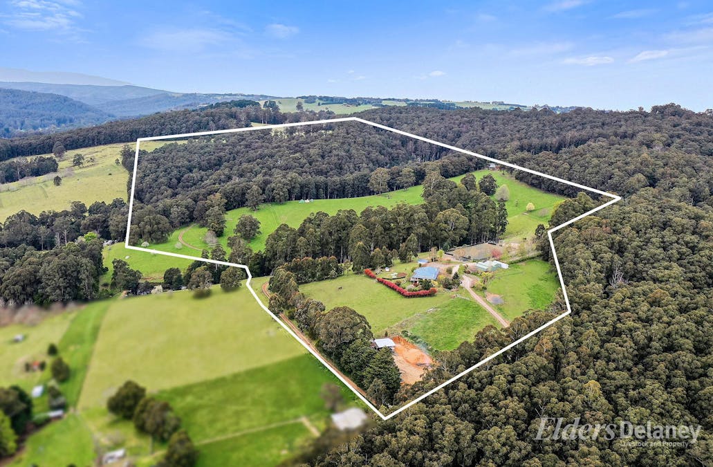 566 Nayook-Powelltown Road, Piedmont, VIC, 3833 - Image 4