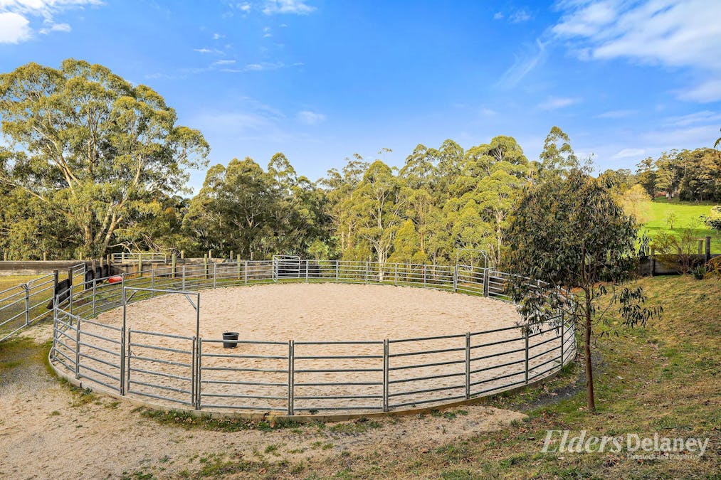 566 Nayook-Powelltown Road, Piedmont, VIC, 3833 - Image 7