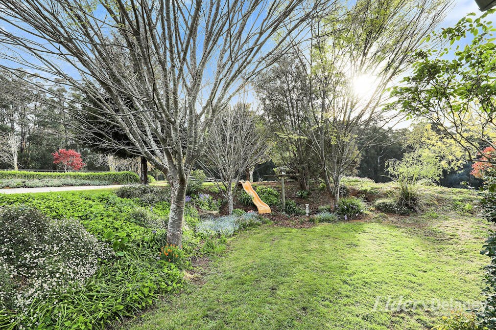 566 Nayook-Powelltown Road, Piedmont, VIC, 3833 - Image 10
