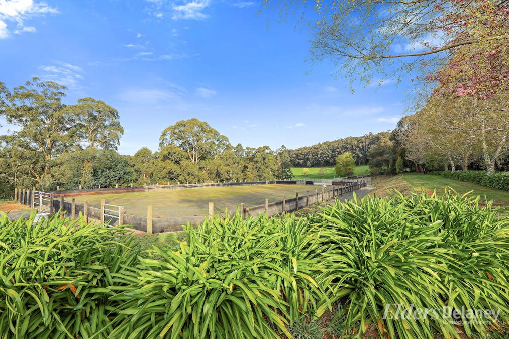 566 Nayook-Powelltown Road, Piedmont, VIC, 3833 - Image 13