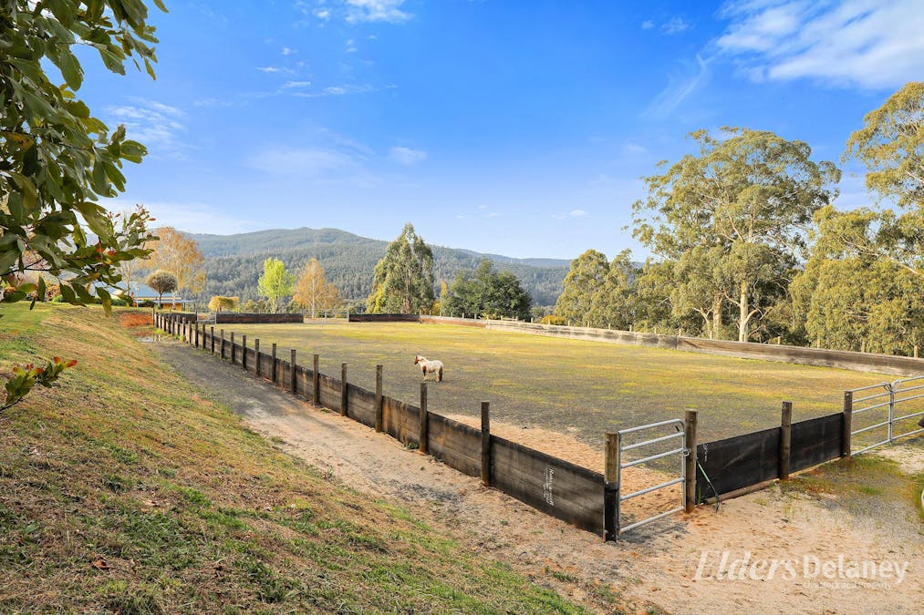 566 Nayook-Powelltown Road, Piedmont, VIC, 3833 - Image 14