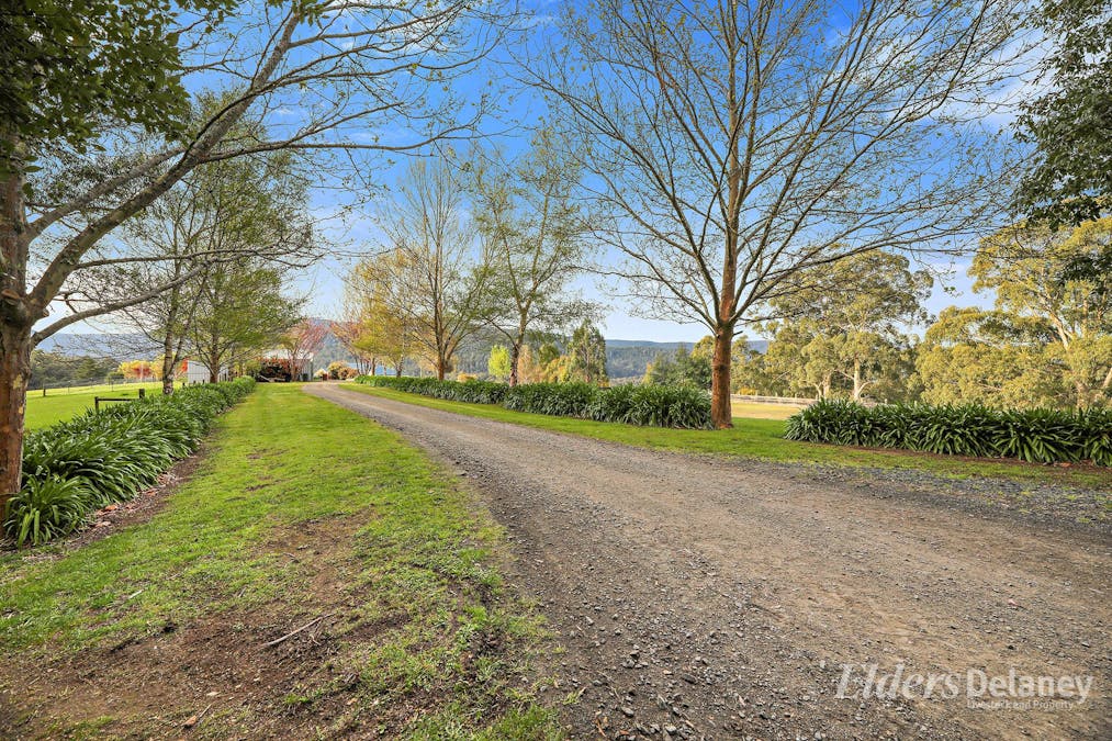 566 Nayook-Powelltown Road, Piedmont, VIC, 3833 - Image 16