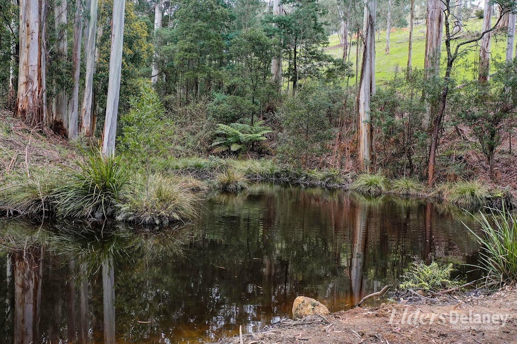 566 Nayook-Powelltown Road, Piedmont, VIC, 3833 - Image 29