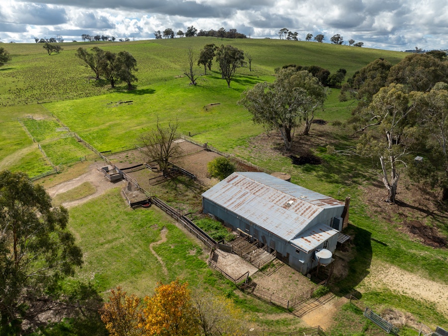 43 Byng Road, Guyong, NSW, 2798 - Image 15