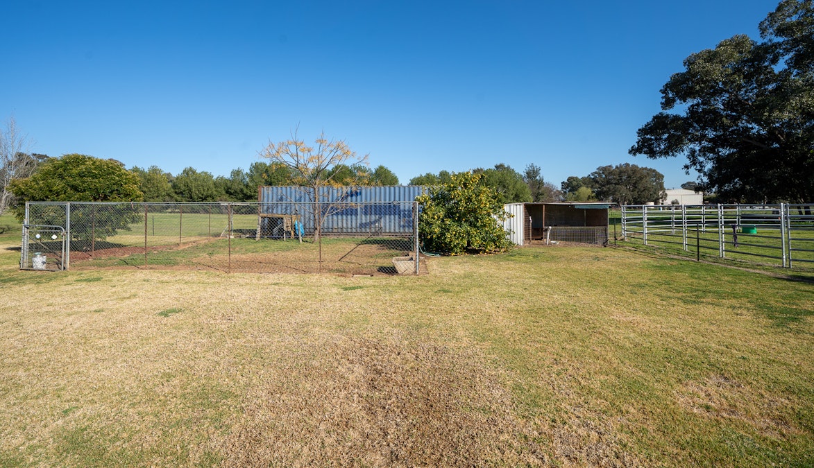 91-95 Grenfell Road, Cowra, NSW, 2794 - Image 11