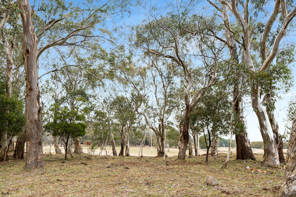 823 Gingkin Road, Gingkin, NSW, 2787 - Image 20