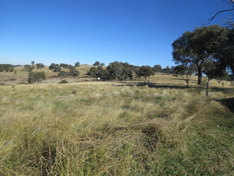 Lot 6 Clements Road, Woodstock, NSW, 2793 - Image 6