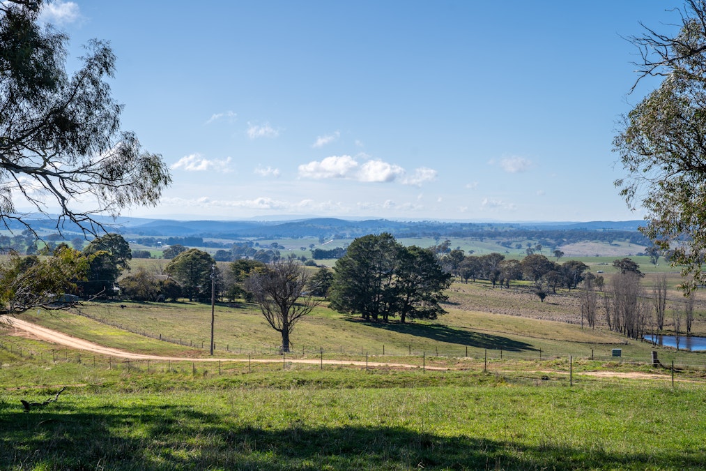 371 Caloola Road, Bathurst, NSW, 2795 - Image 32