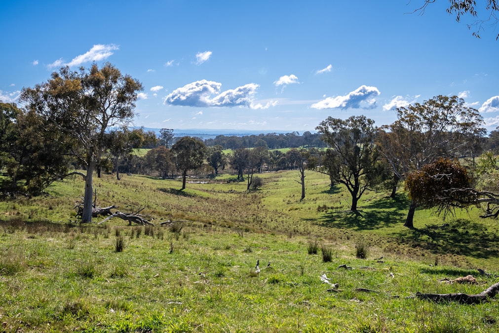 371 Caloola Road, Bathurst, NSW, 2795 - Image 26