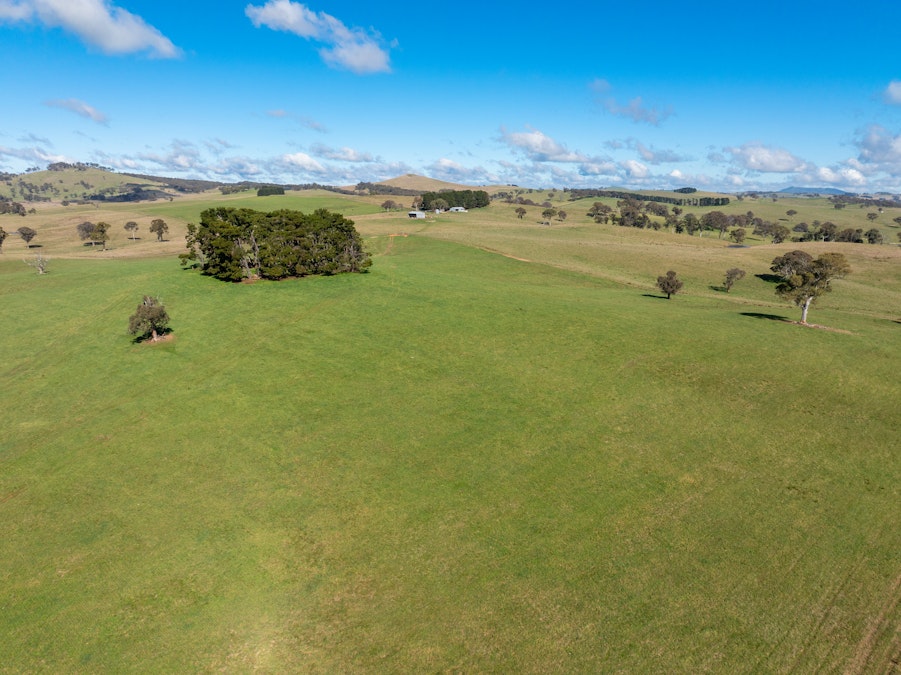 371 Caloola Road, Bathurst, NSW, 2795 - Image 23