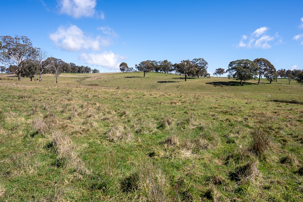 371 Caloola Road, Bathurst, NSW, 2795 - Image 28