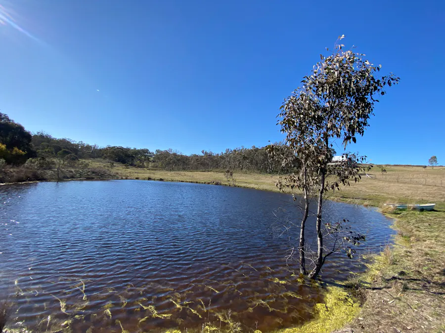 123 Billywillinga Rd, Billywillinga, NSW, 2795 - Image 24