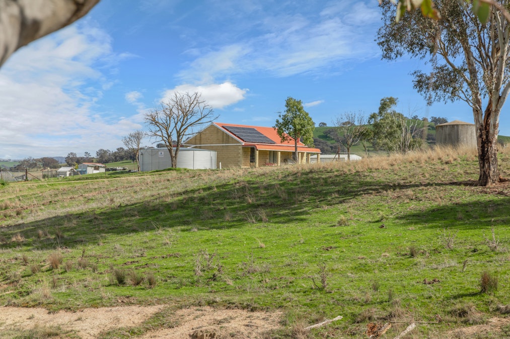 929 Limekilns Road, Yarras, NSW, 2795 - Image 7