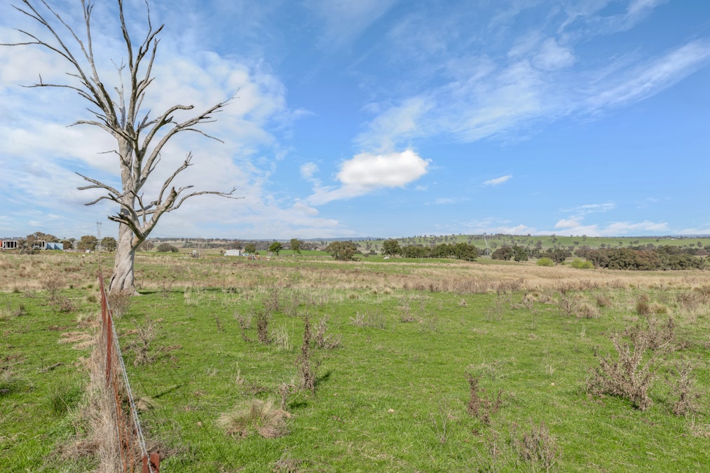 929 Limekilns Road, Yarras, NSW, 2795 - Image 12