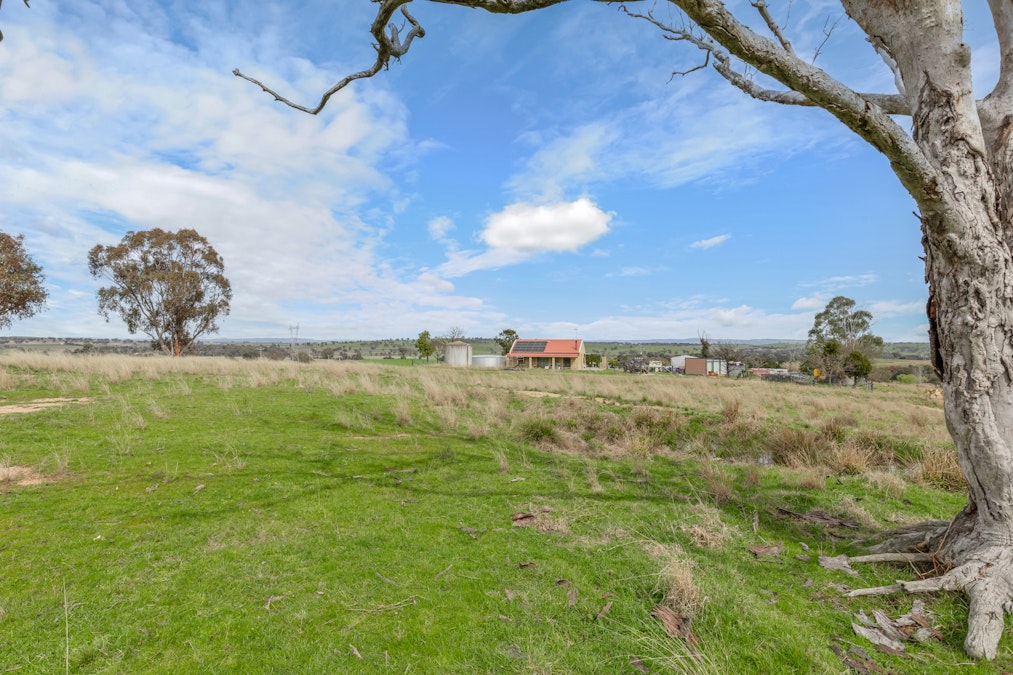 929 Limekilns Road, Yarras, NSW, 2795 - Image 13